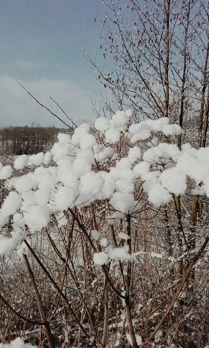 Schnee