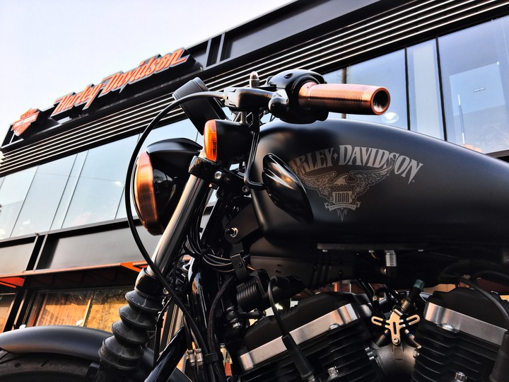 iron883