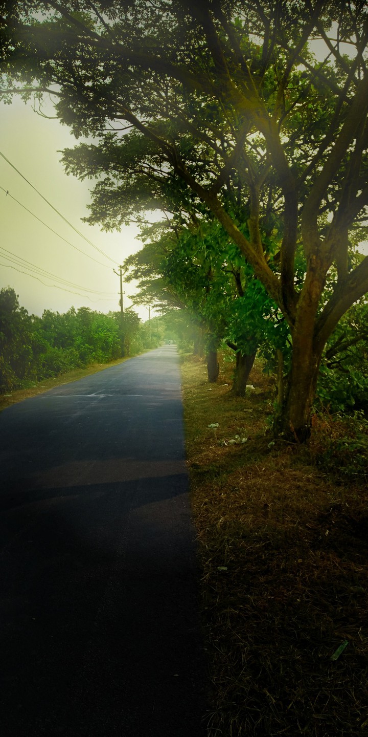 Nature