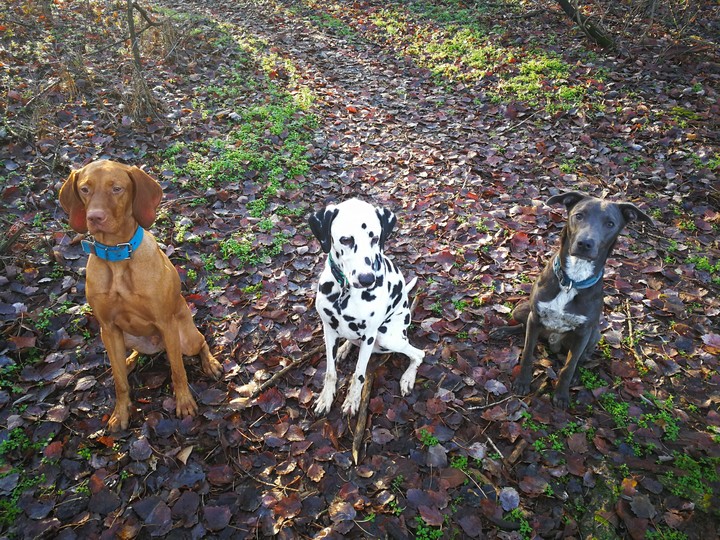 Lord, Zack, Edgar