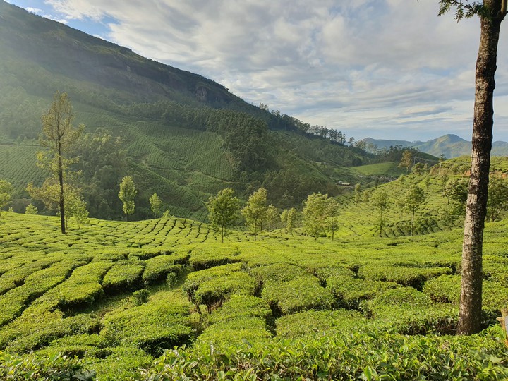 munnar