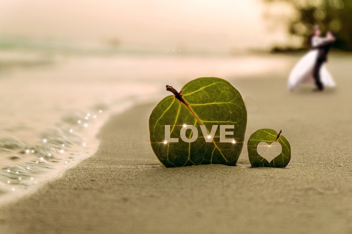 Love
