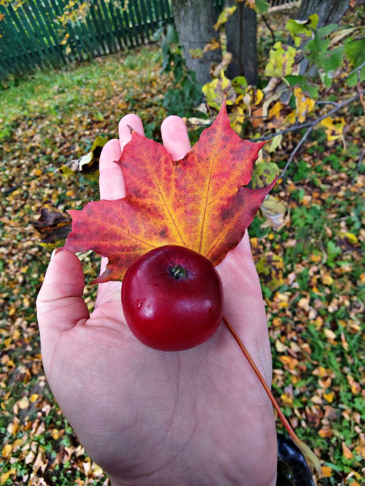 Autumn?