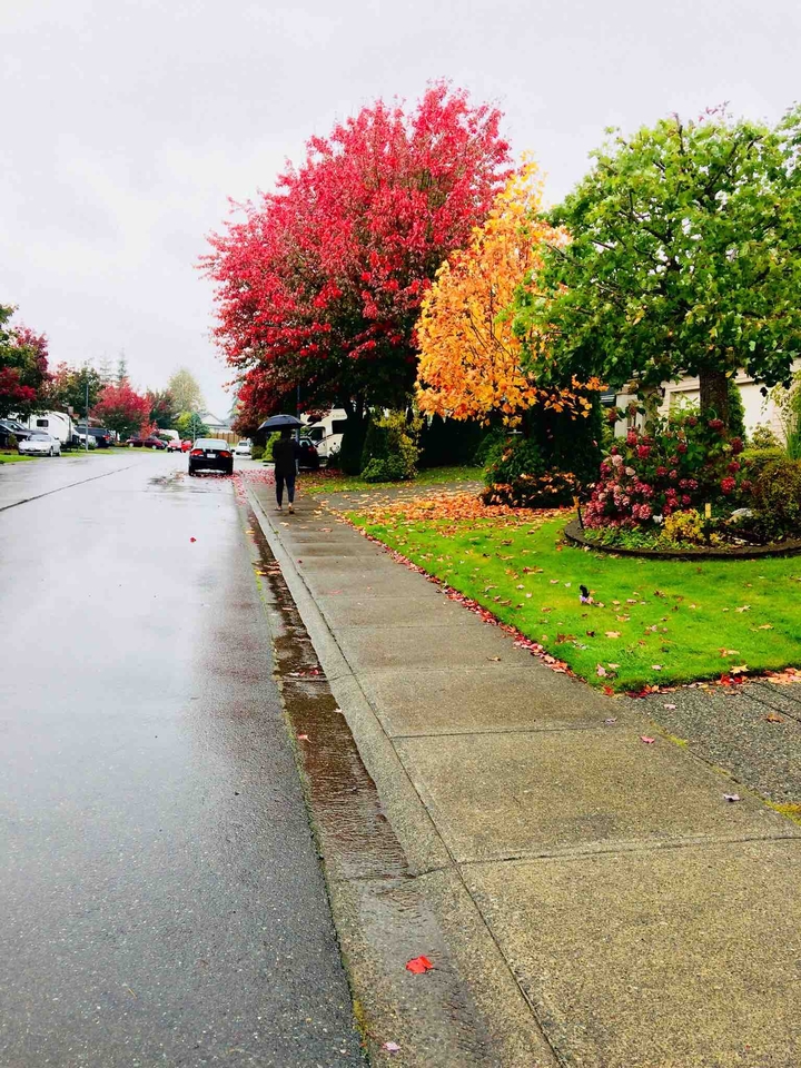 campbell river