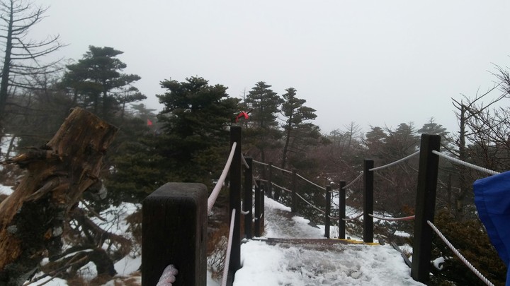 눈길