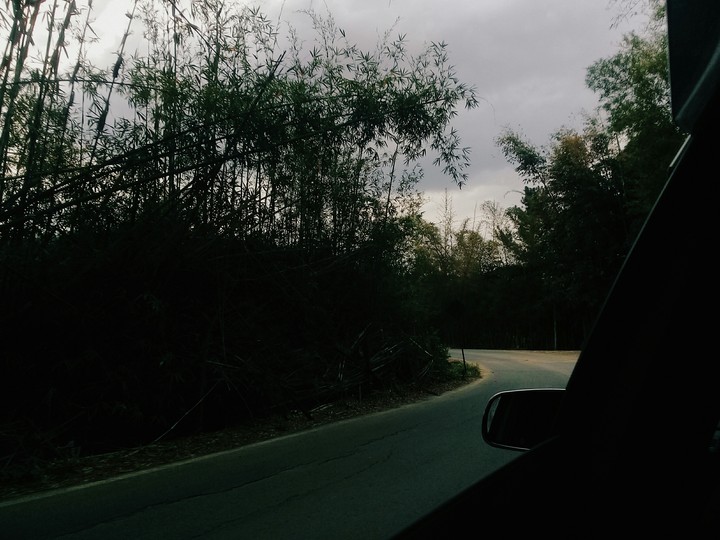 passeio
