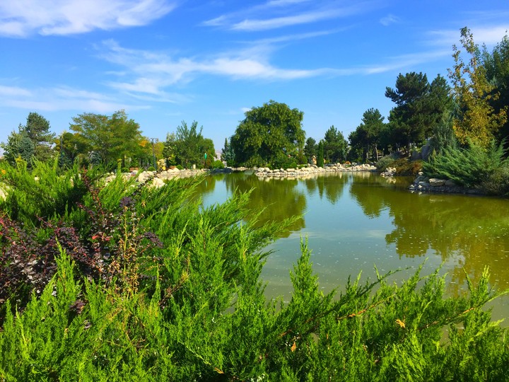 Artificial Pond
