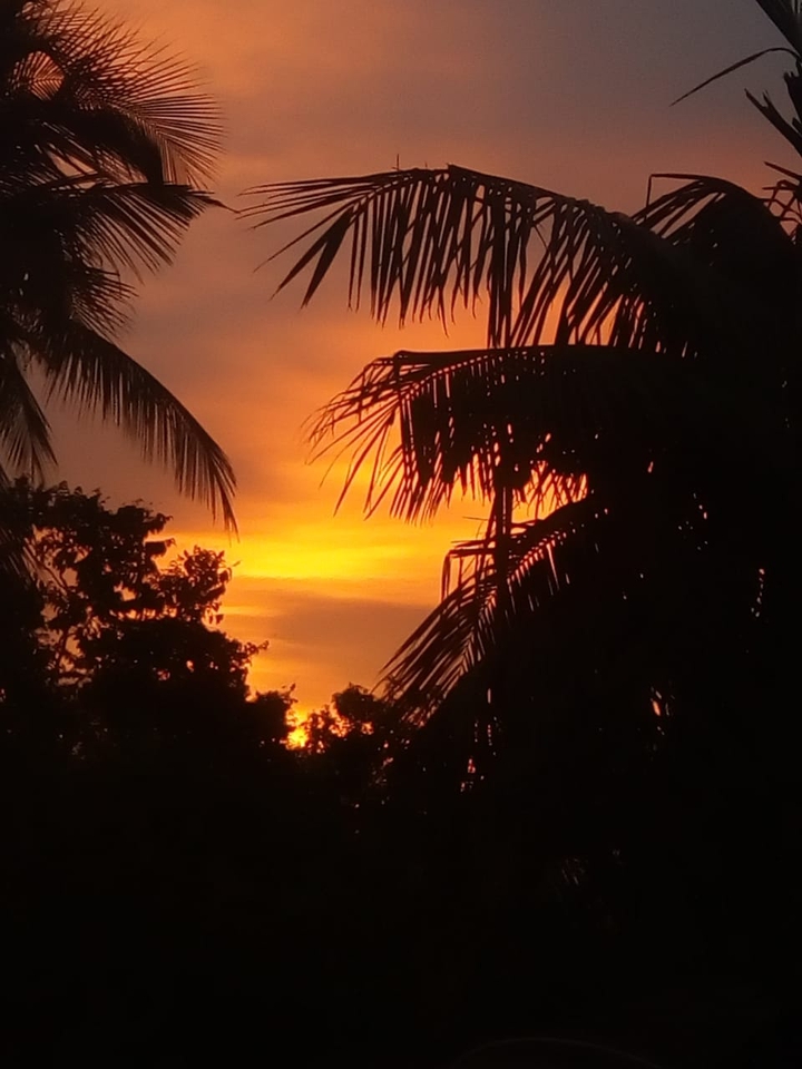The reddish  sky