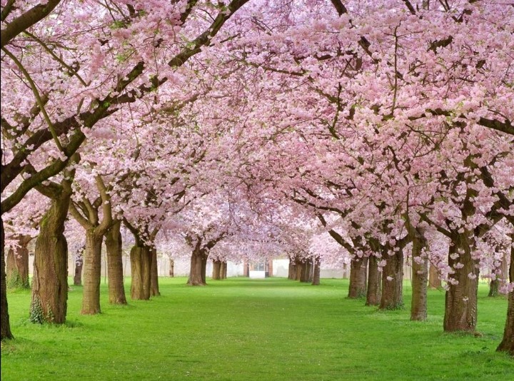 Hello Spring