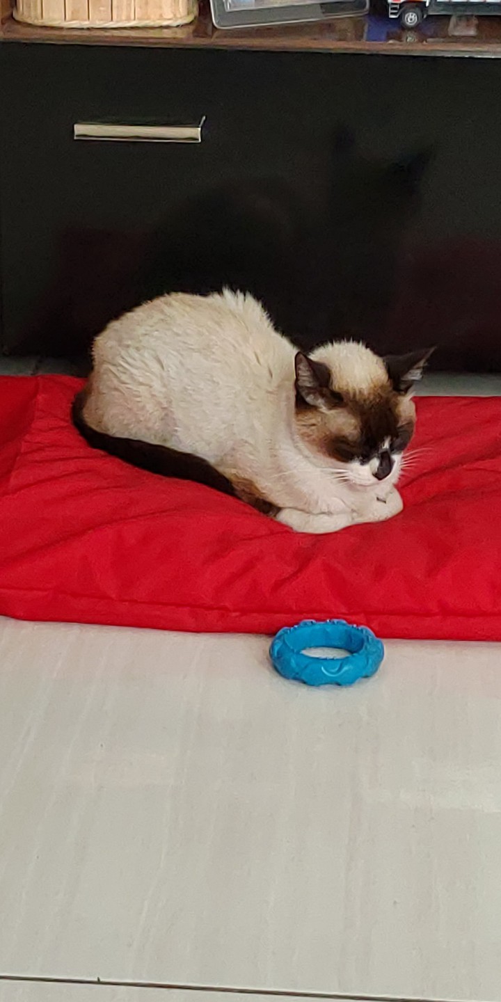 Max❤️