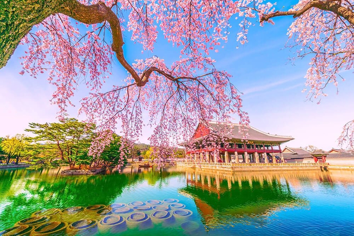 Spring