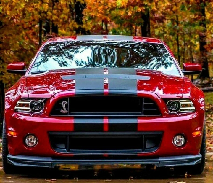 Very nice. Mustang cobra svt. Nice stance