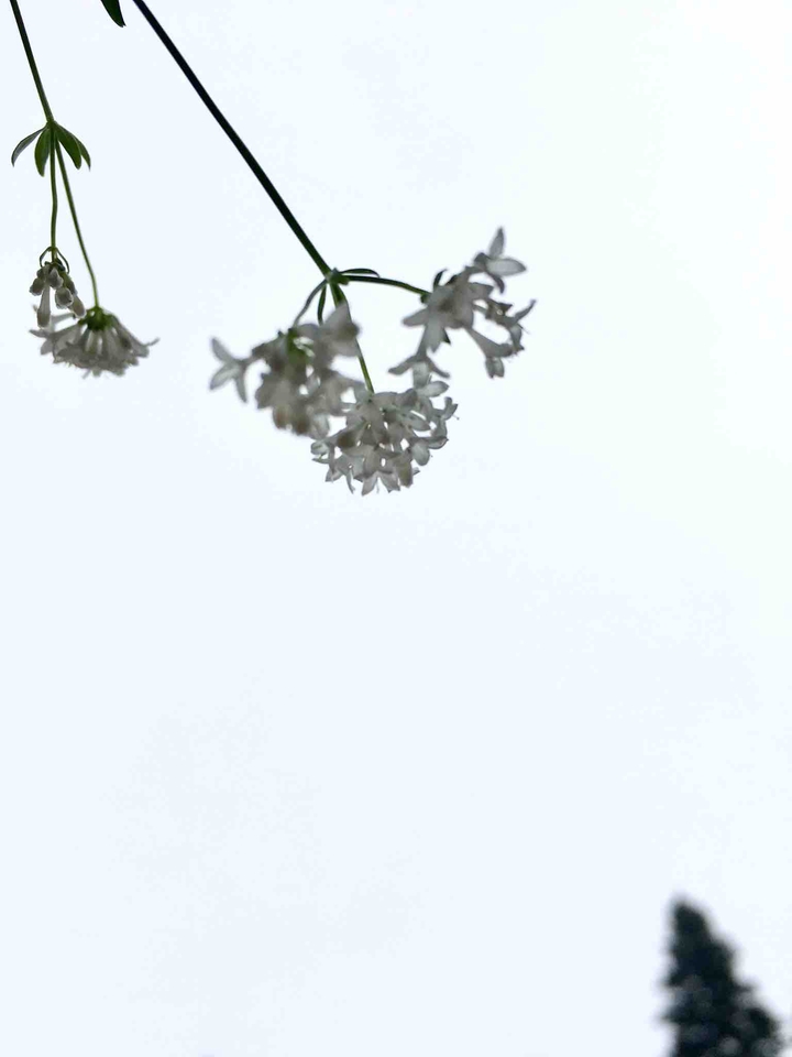 look up