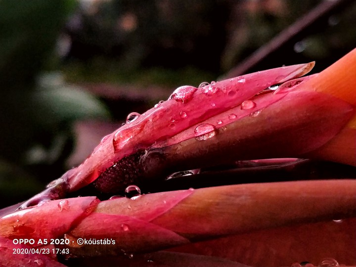 water drop