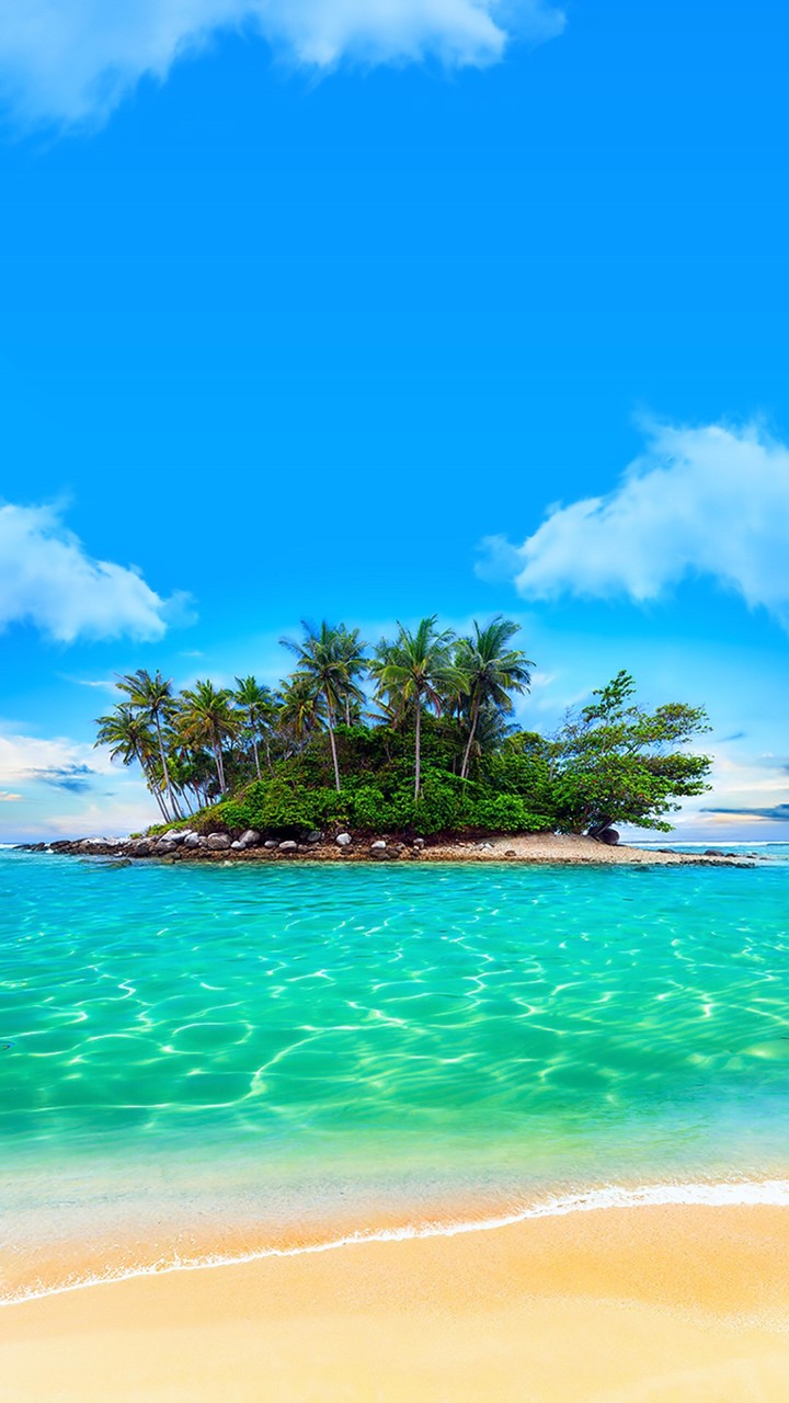 Blue sea trees