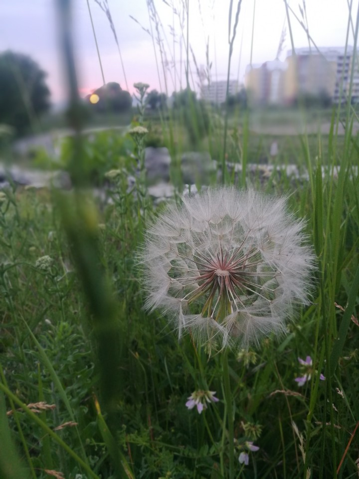 закат