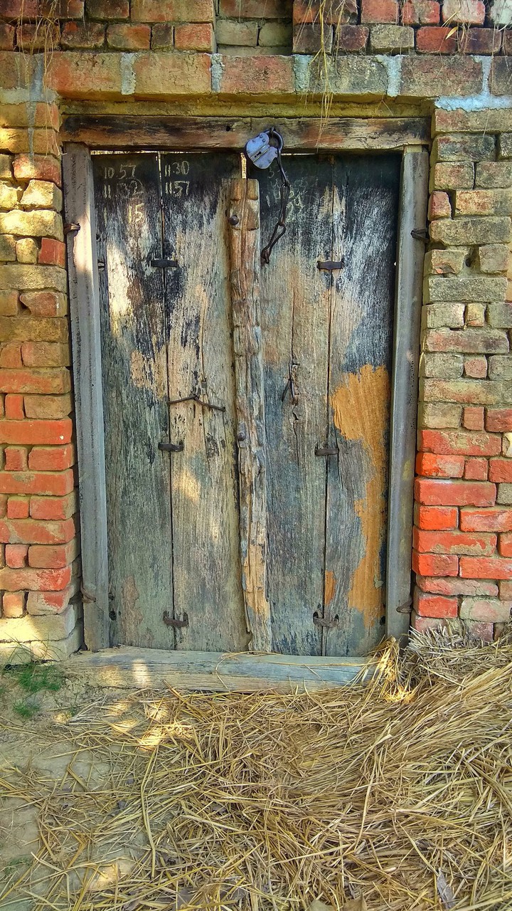 rural netchr