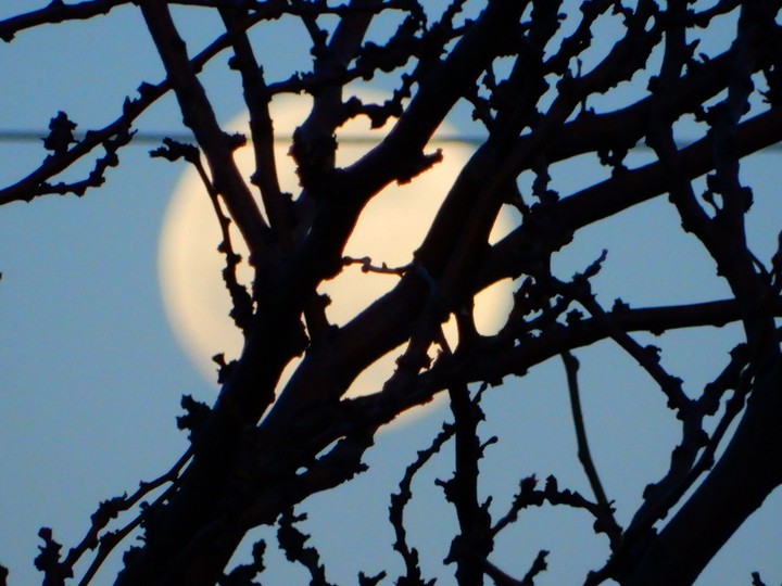 hiding the moon