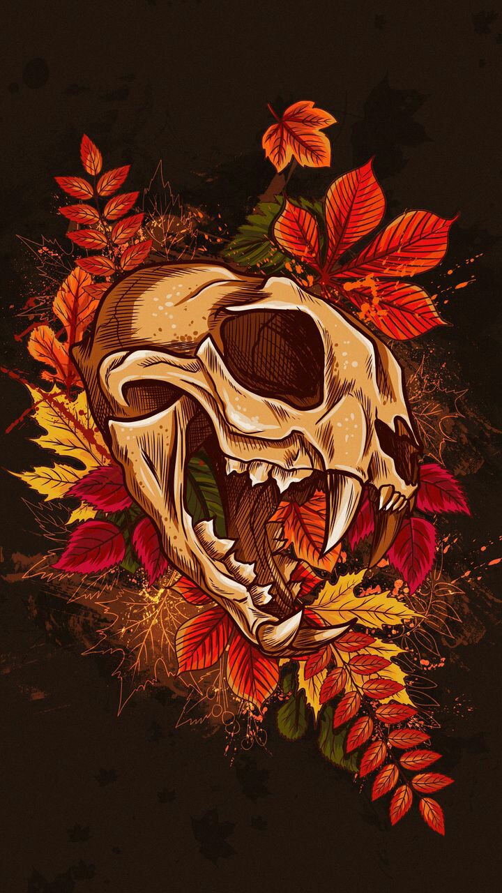 skull