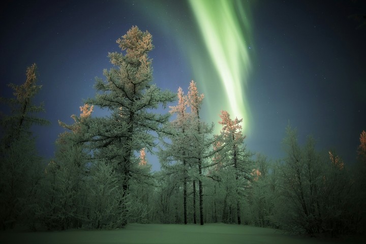 aurora