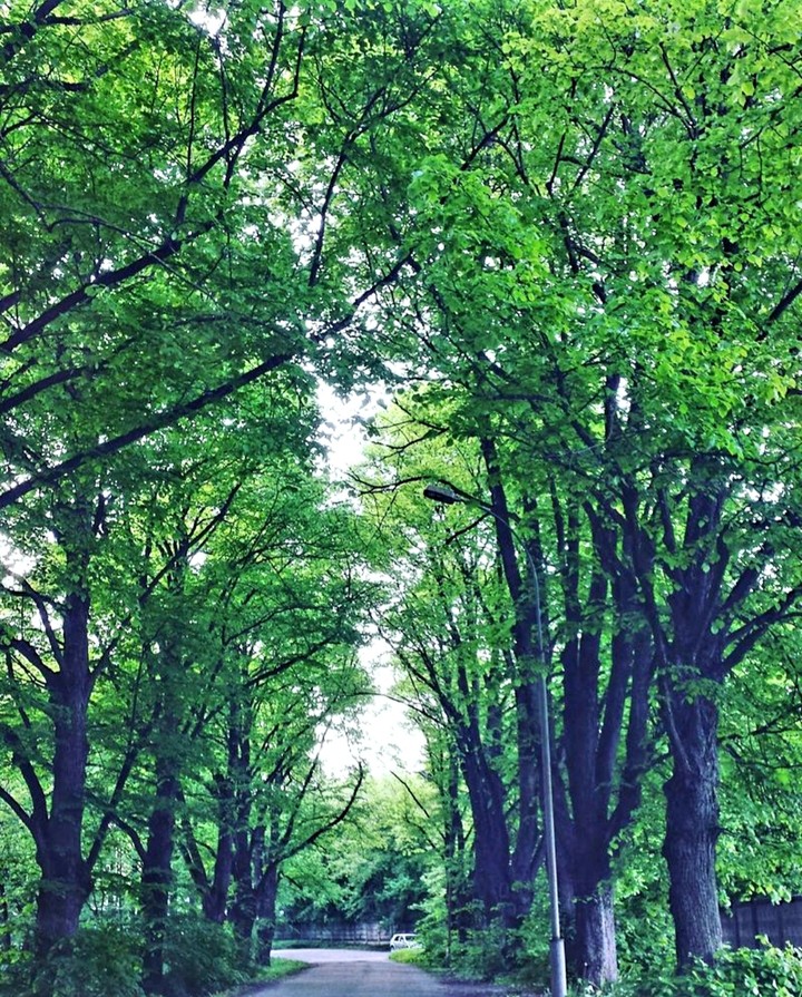 park