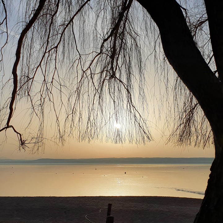 Misty Sundawn
