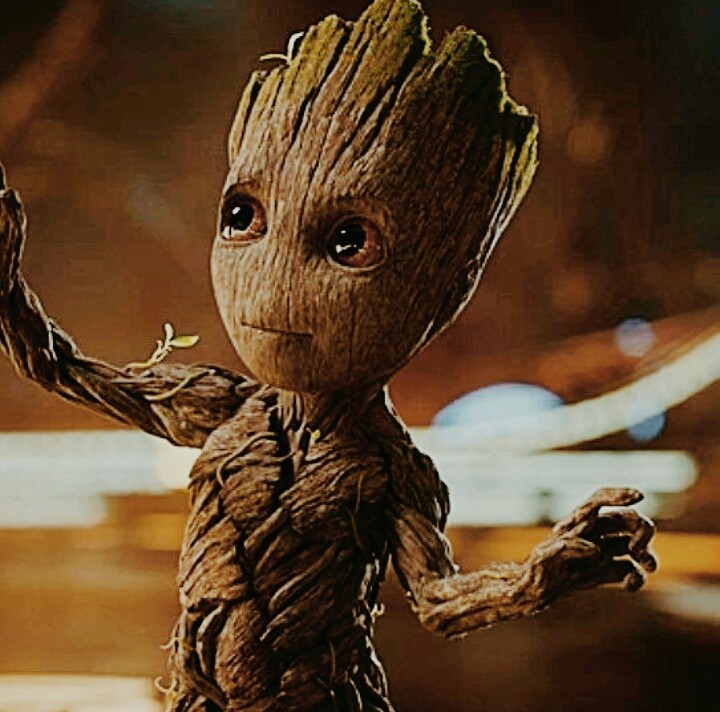 The Groot
