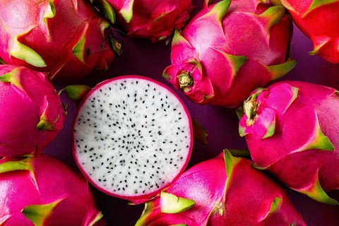 רקעים dragonfruit, plant