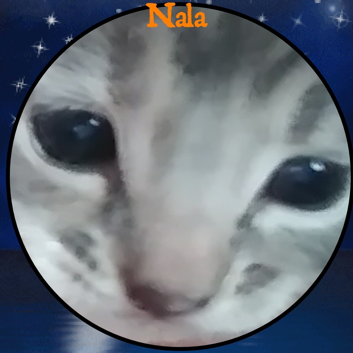 Nala