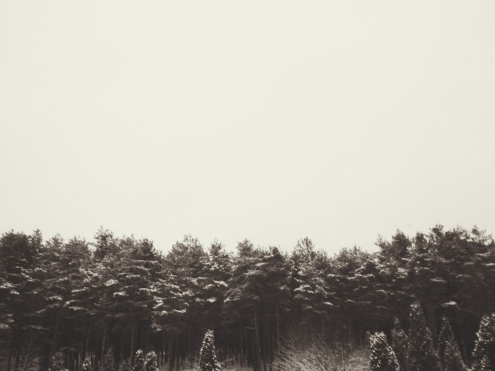 Silence