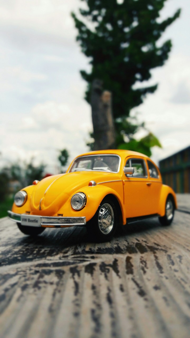 VW Beetle