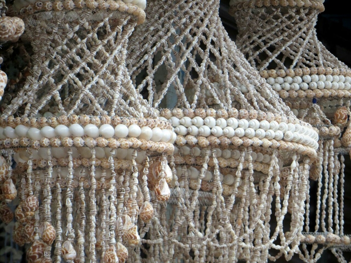 seashells 