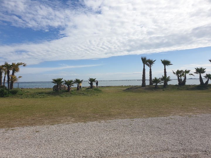 sea