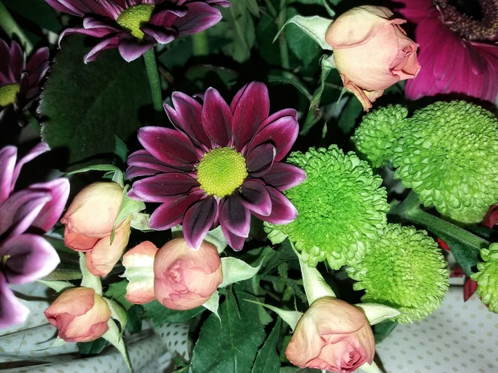 flower