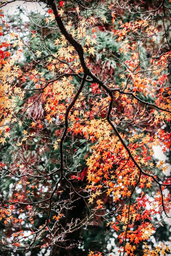 colours are everything