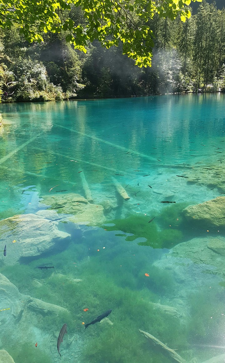 Beautiful swiss lake