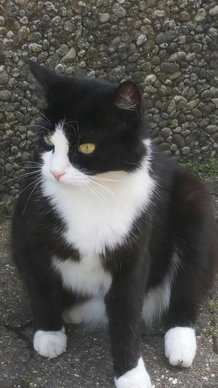 Mieze❤
