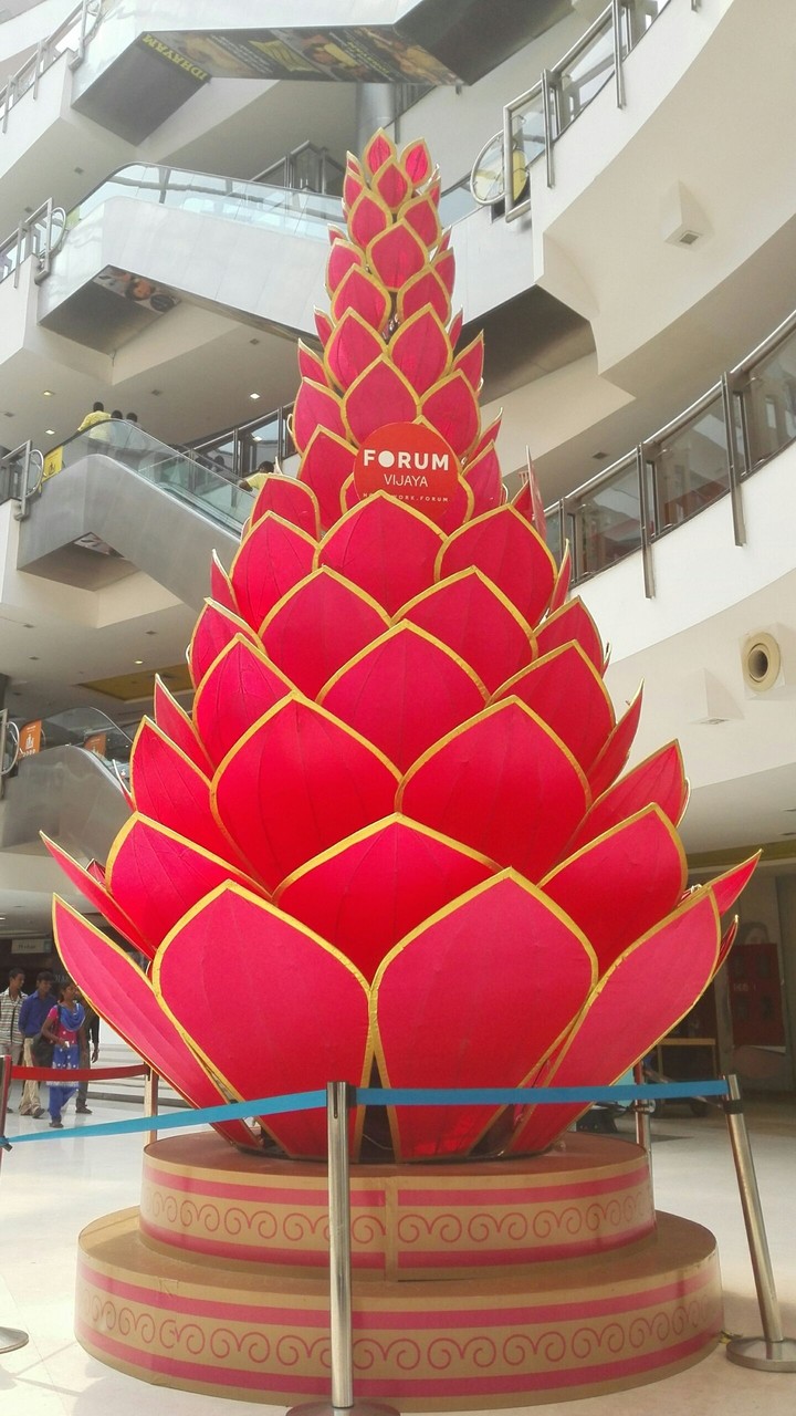 Lotus