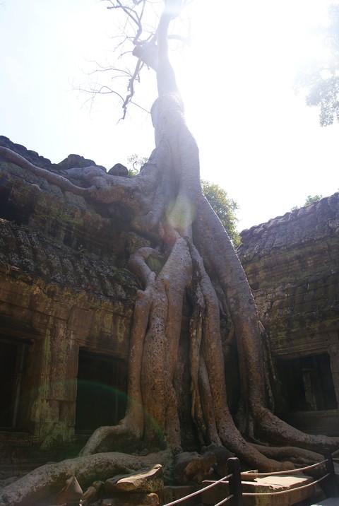 Travel