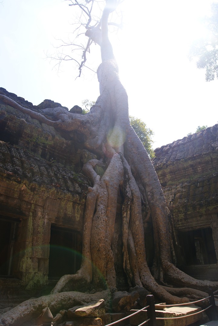 Travel