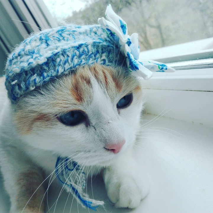 Mark