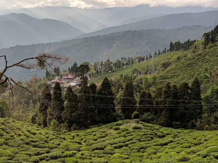 Darjeeling