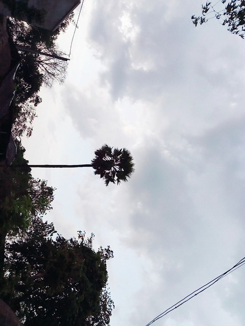 sfondi cloud, atmosphere