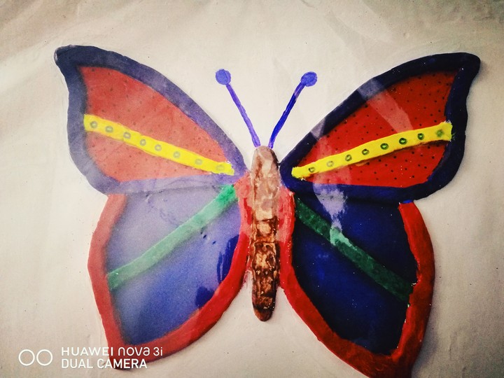 butterfly