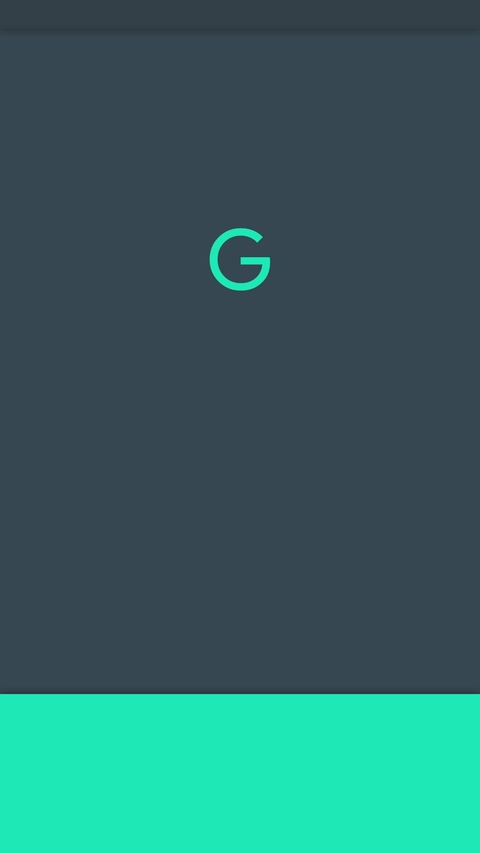 Google pixel