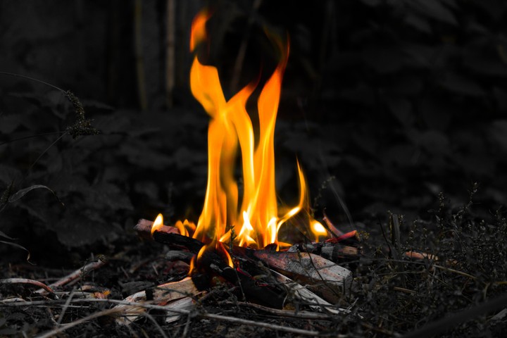 Forest fire.