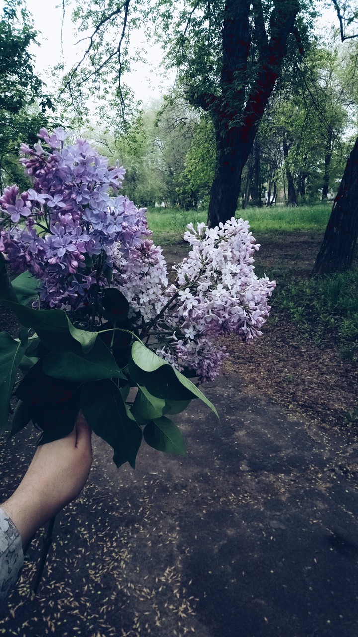 by Nastena