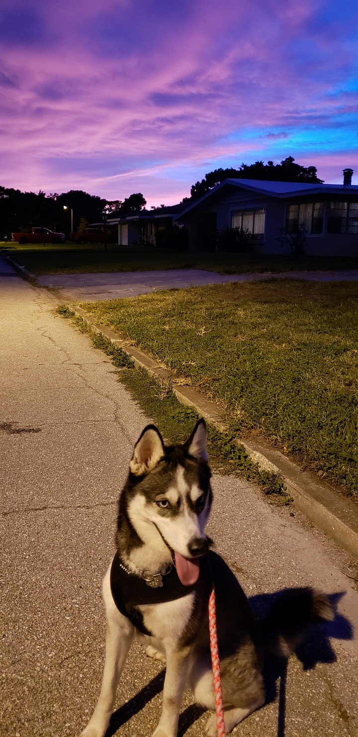 no filter
