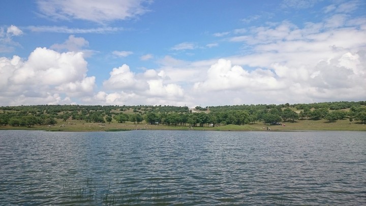 View
