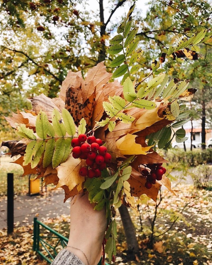осень